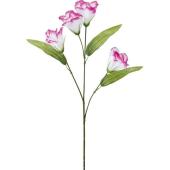 造花】YDM/トルコキキョウ ラベンダーホワイト/FF-2670-L/W - 花材通販