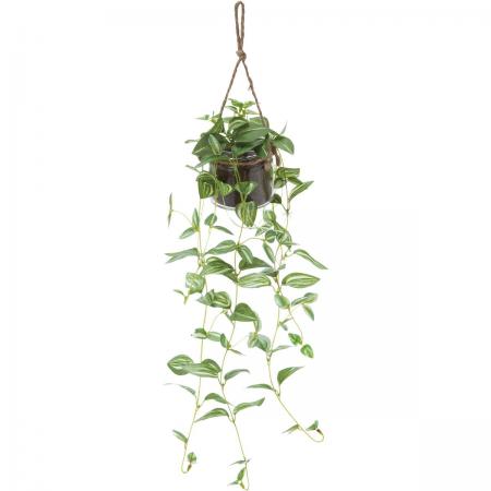 人工観葉植物 Ydm ポトスジャーハンギング グリーン Gla 1466 Gr 通販 はなどんやアソシエ 人工観葉植物 Ydm ポトスジャーハンギング グリーン Gla 1466 Gr 通販 はなどんやアソシエ