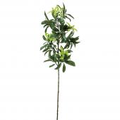大特価◎即日★【造花】YDM/ニュープラシキビL グリーン/FG-5099-GR