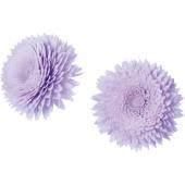 【ドライ】YDM/ソラパーツジニアL 紫2P/MCY-0547