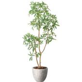 直送】【人工観葉植物】YDM/シェフレラ1.6/GLPA-084 ※返品・代引