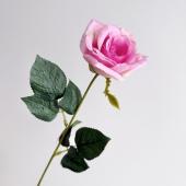 ▶︎import/プクさまデザインペーパー/ローズ② Rose junctionさま