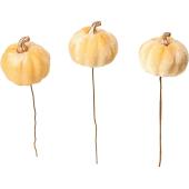YDM/ベルベットパンプキンピック3P Y/HW-1605 - 花材通販はなどんや