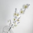 即日★【造花】YDM/寒紅梅 ホワイト/FS-5437W