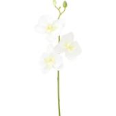 即日★【造花】YDM/コチョウラン/FFH-0065-W