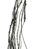 【造花】YDM/フレキシブルバインハンガー ブラウン/FG-5394-BR