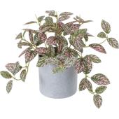 特価◎即日★【人工観葉植物】YDM/ヒポエステスポット グリーン/GLA-1589-GR