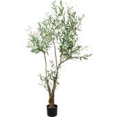 【直送】【人工観葉植物】YDM/170cmオリーブ グリーン/GLP-1560-GR ※返品・代引・キャンセル不可