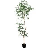 直送】【人工観葉植物】YDM/180cmシェフレラアンガスティフォリア