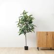【直送】【人工観葉植物】YDM/180cmショウナンゴム グリーン/GLP-1572-GR ※返品・代引・キャンセル不可