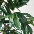 【直送】【人工観葉植物】YDM/180cmショウナンゴム グリーン/GLP-1572-GR ※返品・代引・キャンセル不可