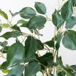 【直送】【人工観葉植物】YDM/ベンジャミンポット グリーン/GLA-1583-GR ※返品・代引・キャンセル不可
