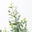 【人工観葉植物】YDM/ユーカリポット グリーン/GLA-1579-GR