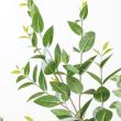 【人工観葉植物】YDM/ユーカリポット グリーン/GLA-1579-GR