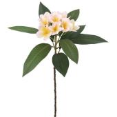 造花】YDM/フレッシュカットプルメリア/FS-8388-P - 花材通販はなどん