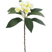 【造花】YDM/フレッシュカットプルメリア/FS-8388-W