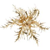 YDM/エレガントポインセチアピックGO/CVD-172