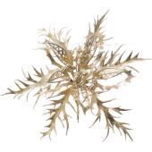 YDM/エレガントポインセチアピックCHP/CVD-173