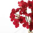 【造花】YDM/ベルベットミニフラワーピック5P レッド/FS-6344-R