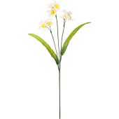 白丹波花文水指16cm19cm 白丹波花文水指16cm19cm 【公式通販】