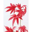 【造花】YDM/フレキシブルモミジブランチ レッド/FS-9326-R