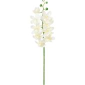 【造花】YDM/コンフォートシンビジューム ホワイト/FD-0170W