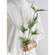 【造花】YDM/コンフォートゴールドクレスト グリーン/FD-0171GR
