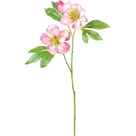 【造花】YDM/パーティードレスクリスマスローズ クリーム レッド/FA-7600CRR