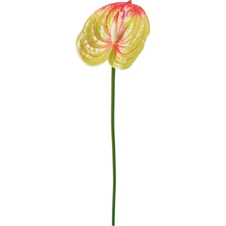 【造花】YDM/アンスリューム グリーンレッド/FA-7601G/R