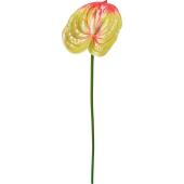 【造花】YDM/アンスリューム グリーンレッド/FA-7601G/R