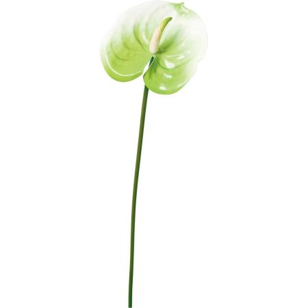 【造花】YDM/アンスリューム ホワイトグリーン/FA-7601W/G