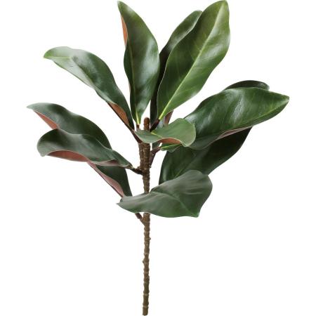 【造花】YDM/マグノリアリーフ グリーン/FG-5484GR