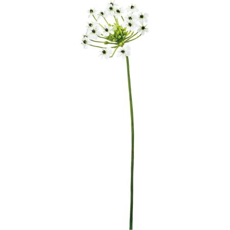 【造花】YDM/オーニソガラム ホワイト/FA-7617W