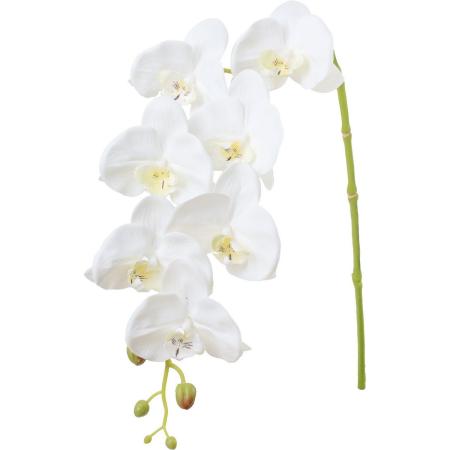 【造花】YDM/マリアムコチョウラン/FA-7635W