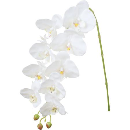 【造花】YDM/ロティーコチョウラン/FA-7636W