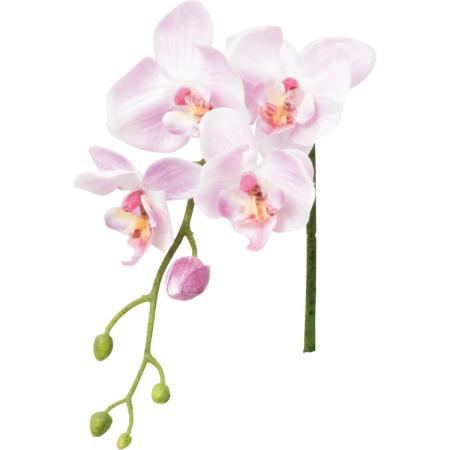 【造花】YDM/レアーナコチョウラン ラベンダー/FA-7604LAV