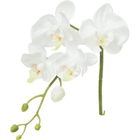 【造花】YDM/レアーナコチョウラン ホワイト/FA-7604W