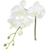 【造花】YDM/レアーナコチョウラン ホワイト/FA-7604W