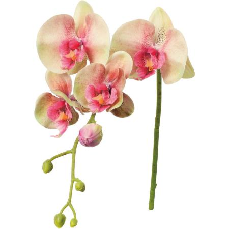 【造花】YDM/レアーナコチョウラン グリーンピンク/FA-7604G/P