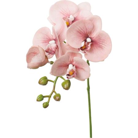 【造花】YDM/ケリーコチョウラン モーブ/FA-7605MAV