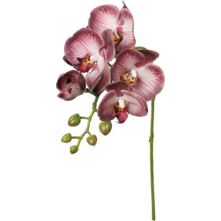 【造花】YDM/ケリーコチョウラン パープル/FA-7605PU