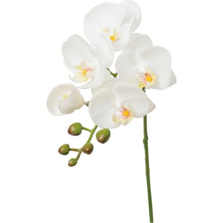 【造花】YDM/ケリーコチョウラン ホワイト/FA-7605W