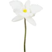 【造花】YDM/カトレアショート ホワイト/FA-7608W