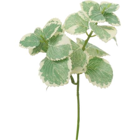 【造花】YDM/オレガノショート グリーン/FG-5473GR