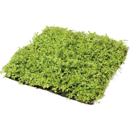 特価◎【造花】YDM/ミニリーフマット30×30 グリーン/GL-5412GR