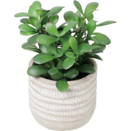 特価◎【人工観葉植物】YDM/エケベリアポット グリーン/GLA-1628GR