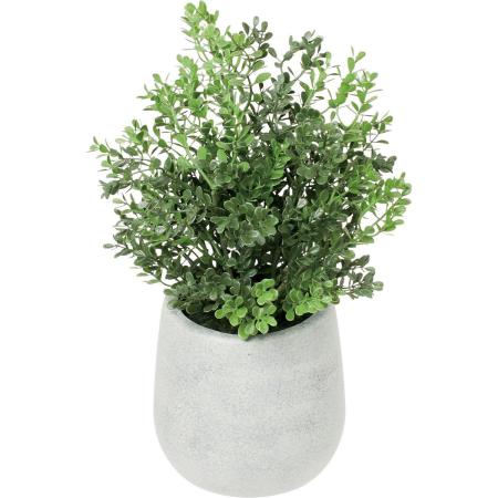 特価◎【人工観葉植物】YDM/ボックスウッドポット グリーン/GLA-1631GR