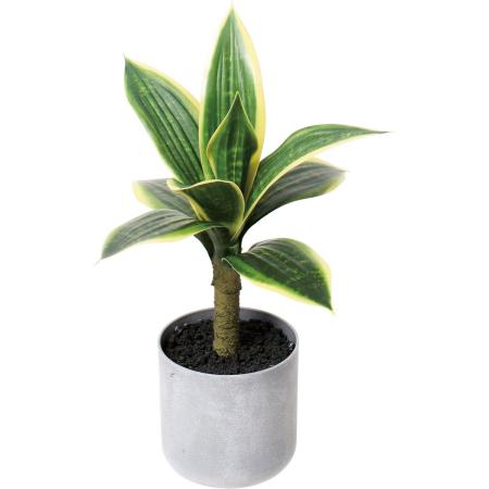 特価◎【人工観葉植物】YDM/30cmサンスベリアポット グリーン/GLA-1599GR
