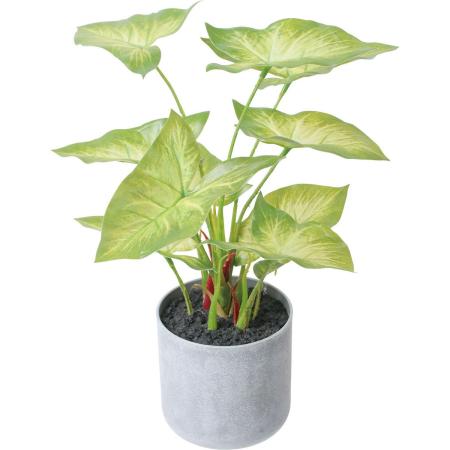 特価◎【人工観葉植物】YDM/30cmシンゴニウムポット グリーン/GLA-1600GR