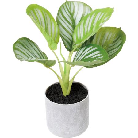 特価◎【人工観葉植物】YDM/30cmカラテアポット グリーン/GLA-1604GR